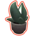 Interstellar Desk Plant