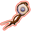 Runic Lens