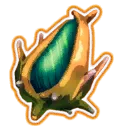 Seed of Life
