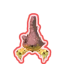 Hermit Crab