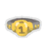 Champion Belt