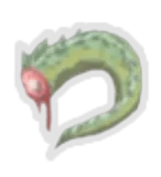 Lizard Tail