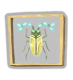 Preserved Insect