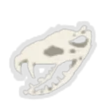 Snecko Skull